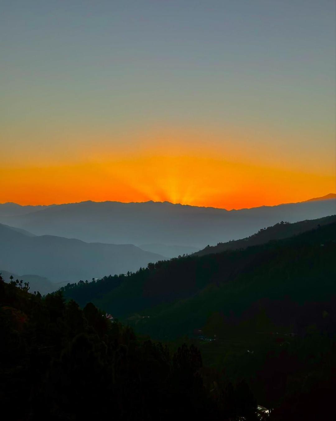 Summer Hill Resort Chail Esterno foto