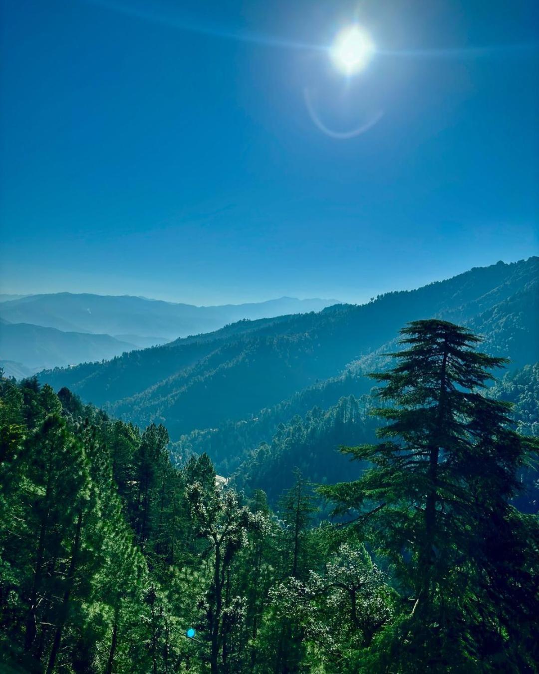 Summer Hill Resort Chail Esterno foto